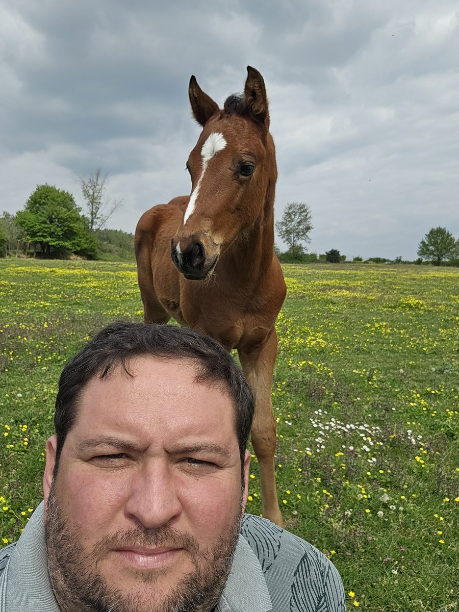 Oğuzhan Özşahin (@adigeabrekperit) on Twitter photo 