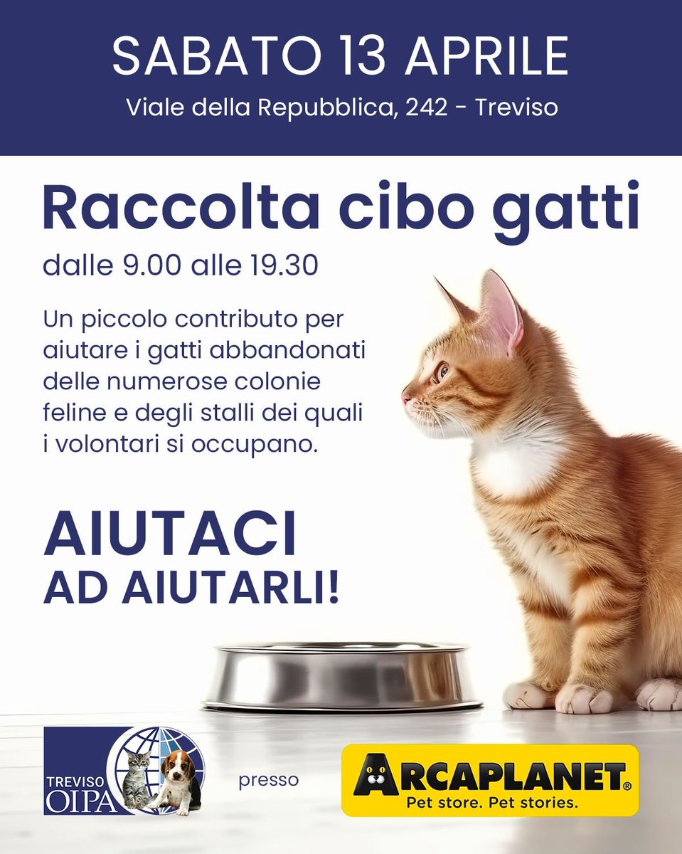 #sabato #13aprile #raccoltacibo @ #Arcaplanet #Treviso (#vialedellaRepubblica 242) info👉facebook.com/AdozioneAnimal… #adozionegatti #adozioneanimali #trovatelli #protezioneanimali #gattiabbandonati #coloniefeline #gatti #kitten #Veneto #catoftheday x aiutarci👉twitter.com/OipaTreviso/st…