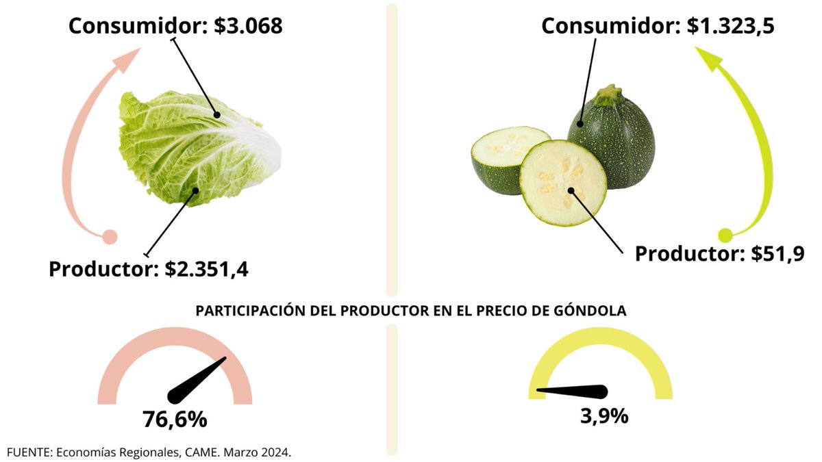 [MARZO 2024] De los 24 agroalimentos que integran la canasta IPOD de @redcame , los productores de lechuga obtuvieron la mayor participación en el precio de venta final (76,6%), mientras que la más baja ocurrió en el zapallito (3,9%). Más info 👉redcame.org.ar