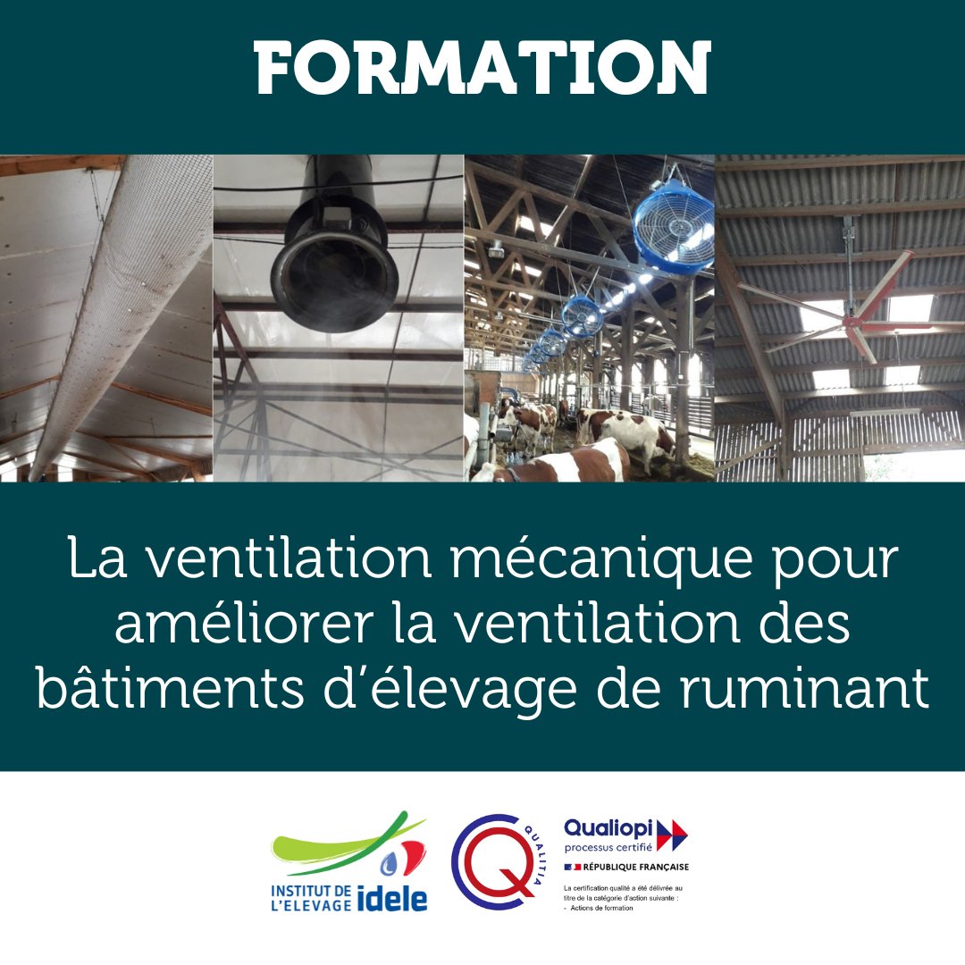 #Formation | La ventilation mécanique pour améliorer la #ventilation des #bâtiments d’#élevage de ruminants 👉 Extraction 👉 Surpression 👉 Brassage d’air 👉 Avantages et inconvénients 👉 Critères de choix ✅ Formation à distance 📅 13 & 27 mai Infos : cutt.ly/Ew7t9k3j