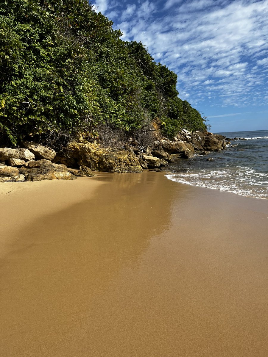 @DrHowardLiu Yes, #nature is calming and using all our senses heightens the experience‼️ My favorite beach #PuertoRico which I can look at pictures after I leave AND imagine in mine mind so I can carry it with me. #Mindfulness #MentalHealthAwareness