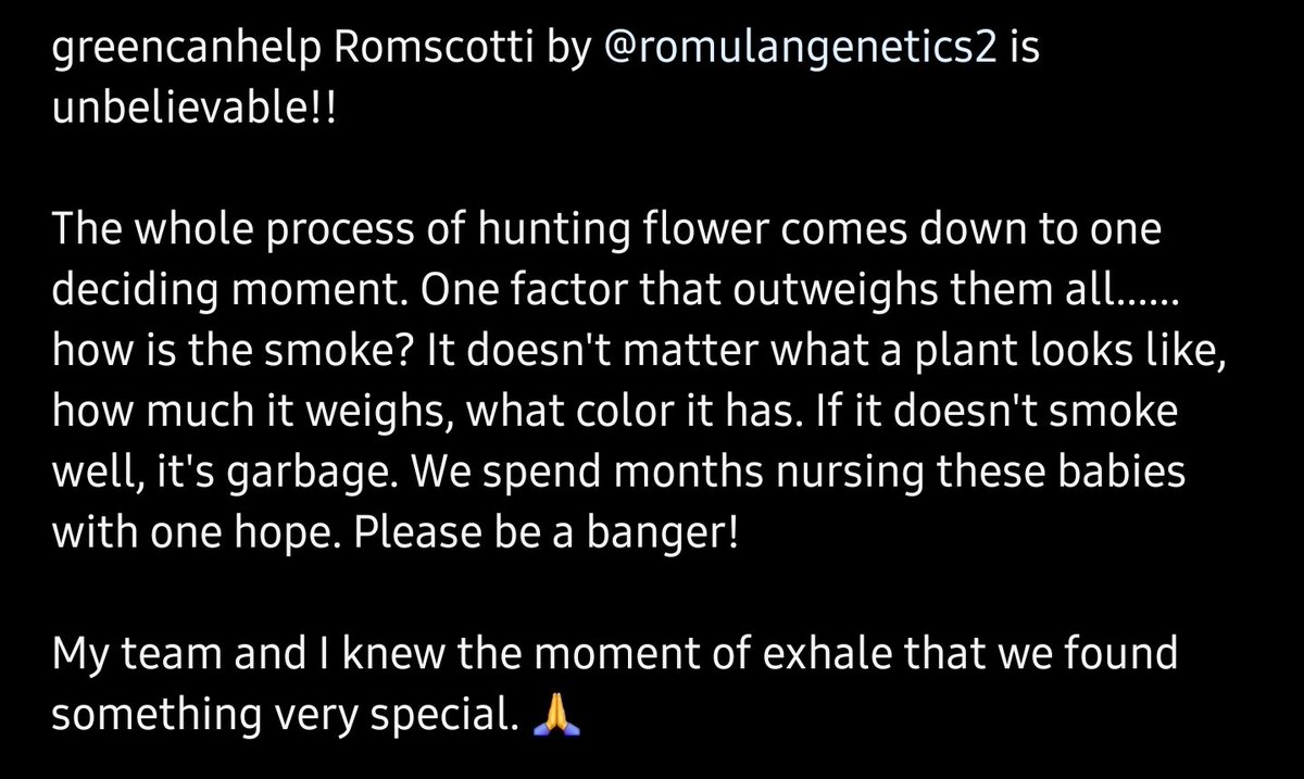 Romscotti review: From a professional cultivation facility in Oklahoma ✌️💚 IG: @greencanhelp