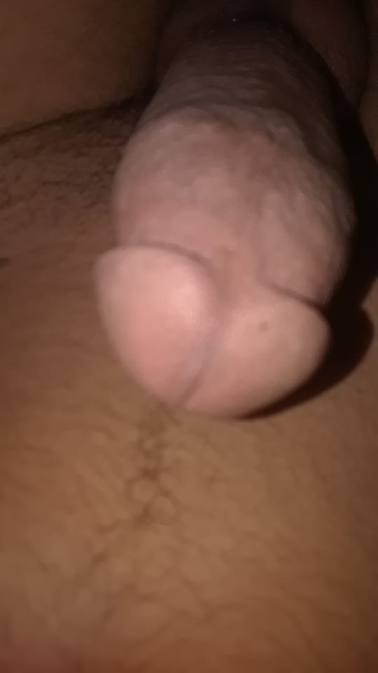 من فاضي في شمال الرياض النرجس