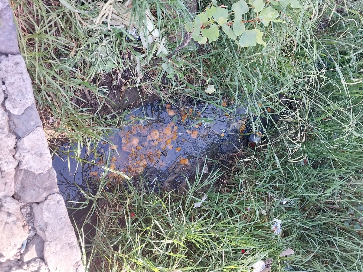 Mitchie1805's tweet photo. LESOTHO HAS A WASTE PROBLEM 

Waste is a serious global issues that poses significant threat to the environment. Lesotho with a lack of a comprehensive waste management system is experiencing all sorts of waste, e waste, food waste, organic waste, plastic waste etc. https://t.co/zM2I8WTSFU