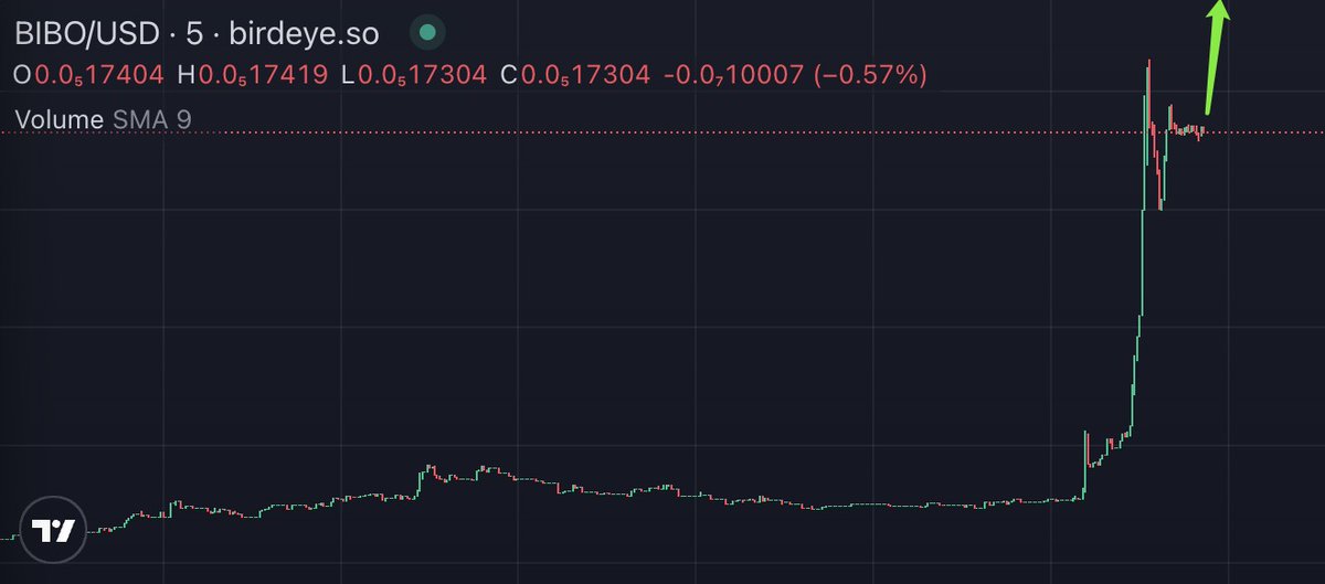 We know it's going to happen!
fairly saying 1m means something, but 1b deserves the Faith.

⚜️Faith in $BIBO, in memes.