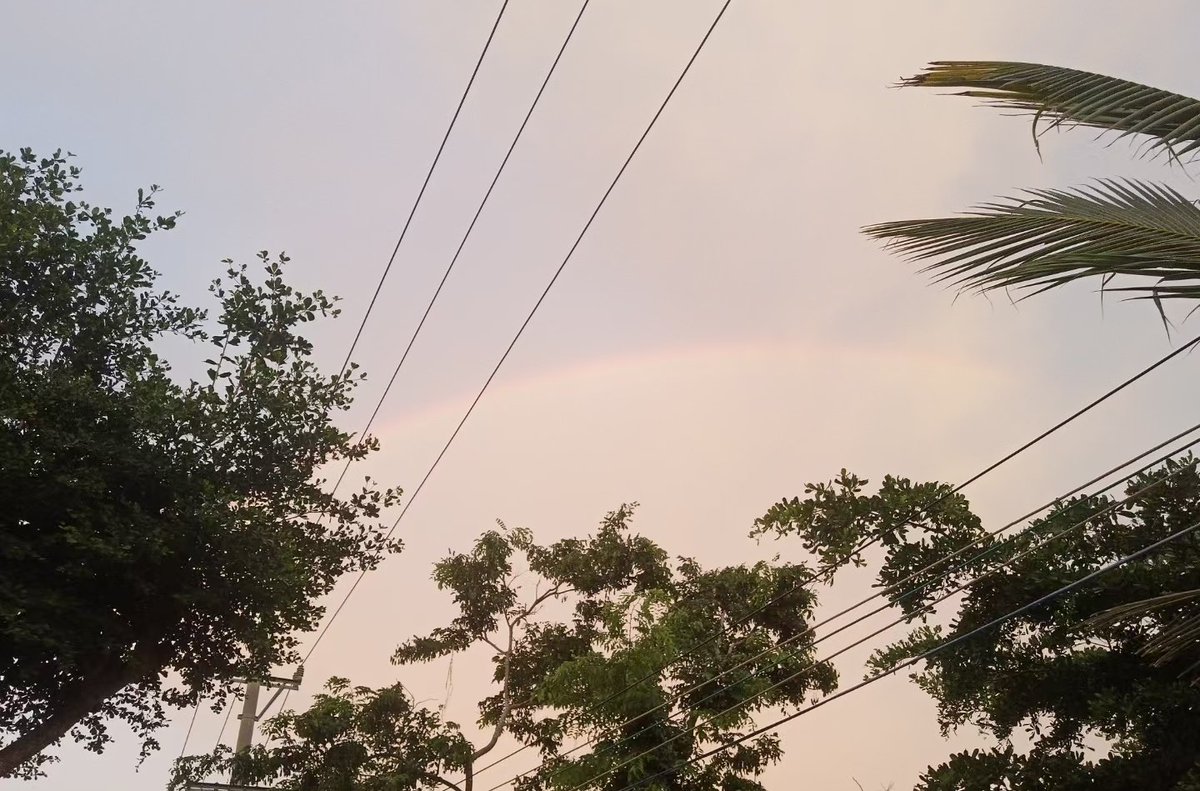 zhoumo (@zhoumo576725) on Twitter photo 