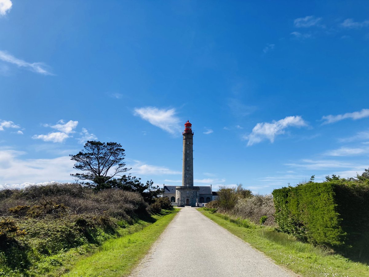 LEMAÎTRE Céline tweet media