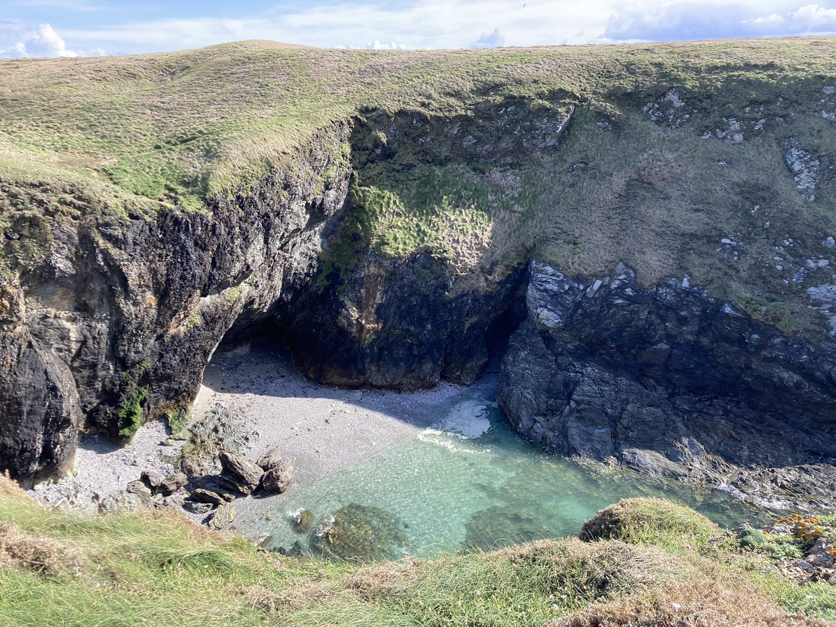 LEMAÎTRE Céline tweet media