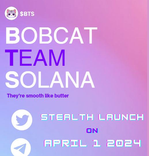 BobcatTeamSOL's tweet photo. Getting everything ready for tomorrow's Stealth Launch! #BTScoin https://t.co/LLpT8QrJvl