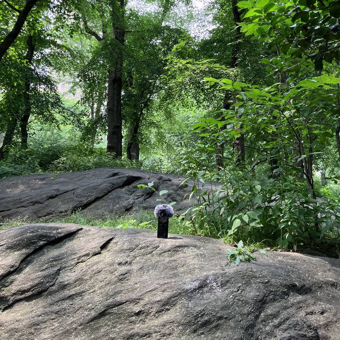 MortalityTables's tweet image. Some explanations about Mortality Tables and the genesis of our recent release, ‘Central Park: A Picture-In-Sounds’ (and some discount codes) can be found here:

furtherdot.com/2024/03/31/mor…