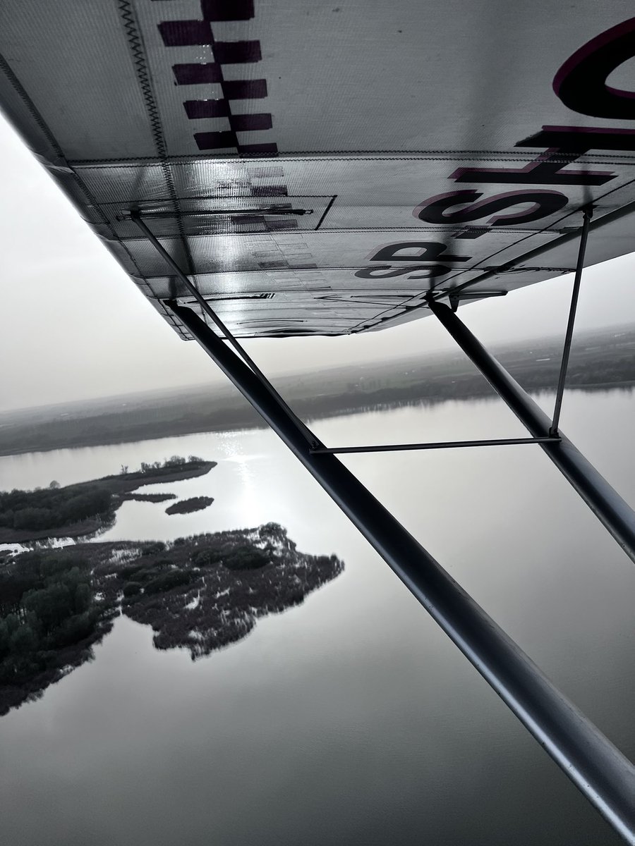 m_m_miel's tweet image. Rekalsik…