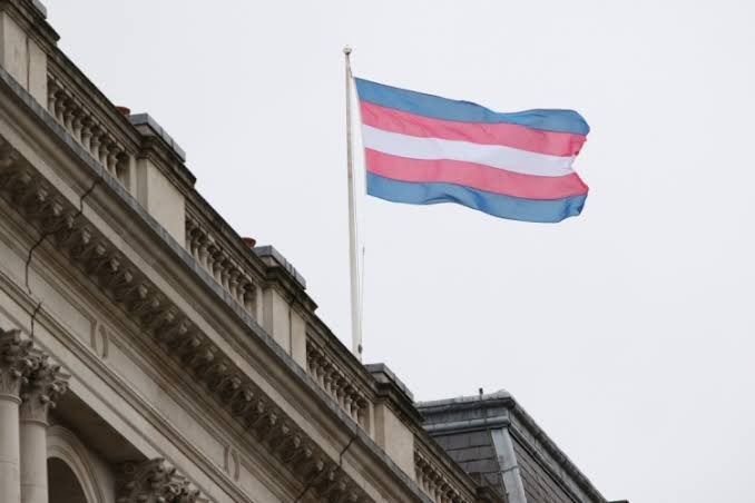 Hoje (31 de Março), celebramos a coragem e a resiliência da comunidade trans. É um lembrete poderoso para defendermos os direitos e a dignidade de todas as pessoas, independentemente de sua identidade de gênero. Vamos continuar lutando por igualdade e inclusão. #VisibilidadeTrans