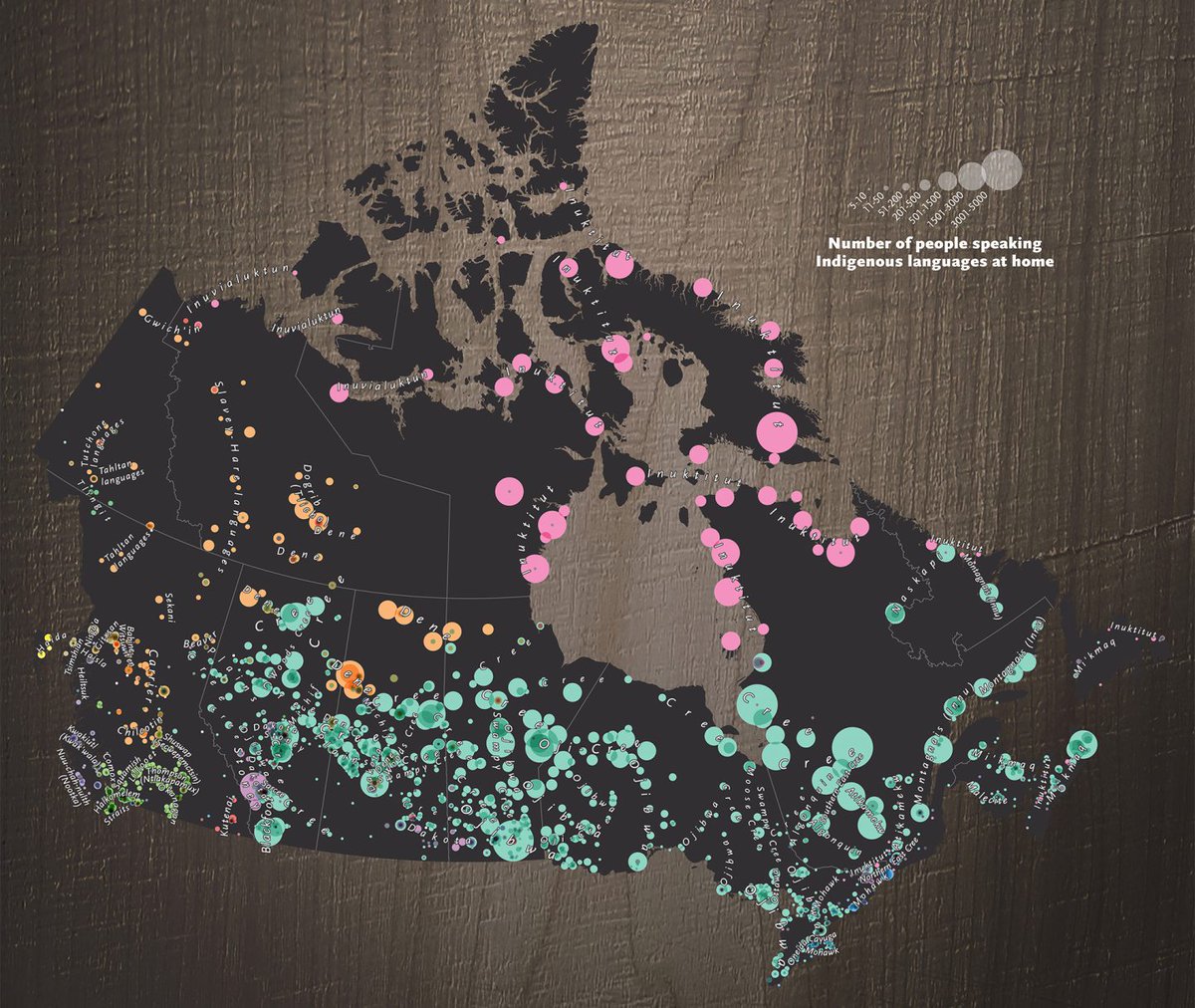 March 31 is National Indigenous Languages Day. Discussing the 2022-2032 International Decade of Indigenous Languages in your classroom? Use our #StoryMap which features an infographic about the different languages spoken in homes across the country. bit.ly/3xUV5Yc