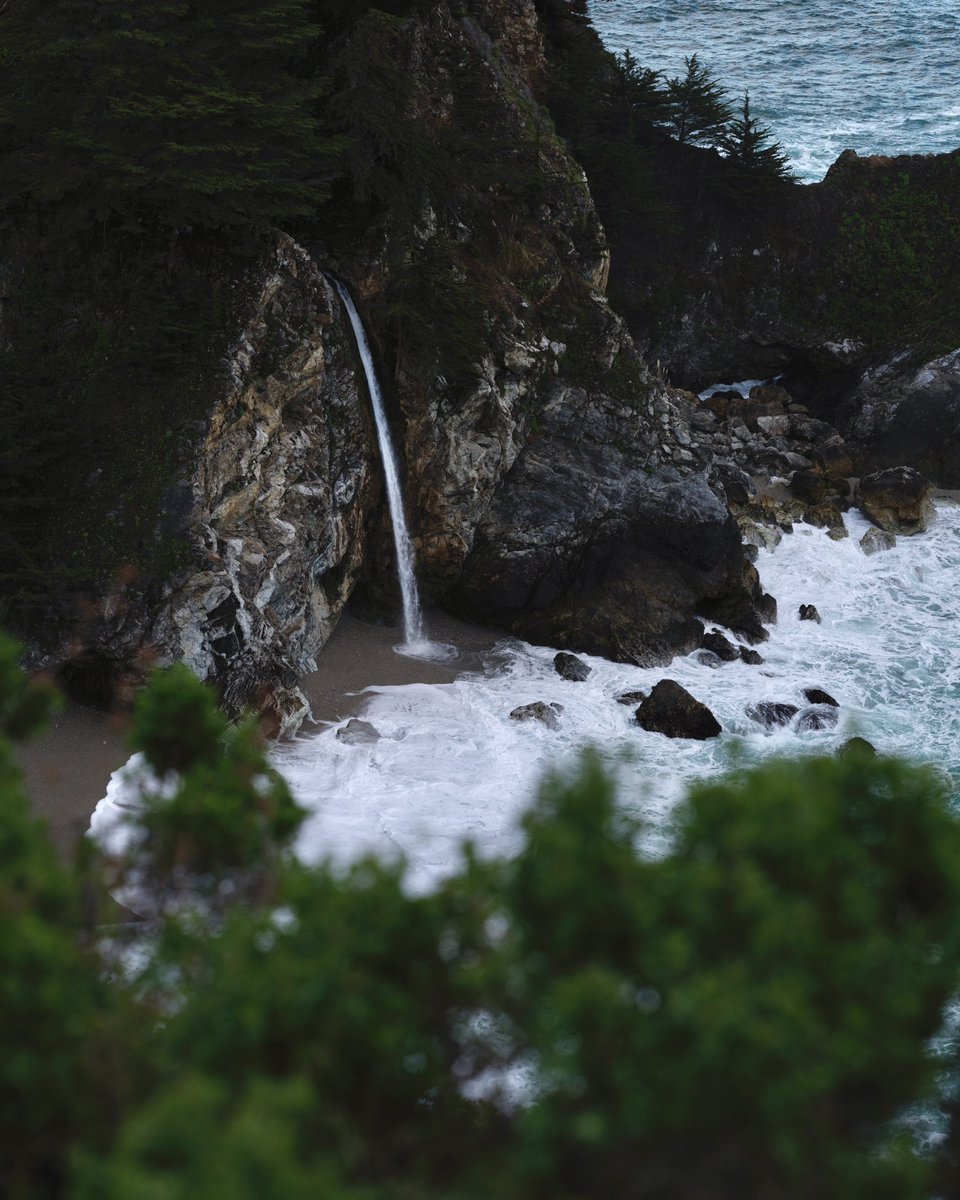 Eric Adams—Words/Photos tweet media