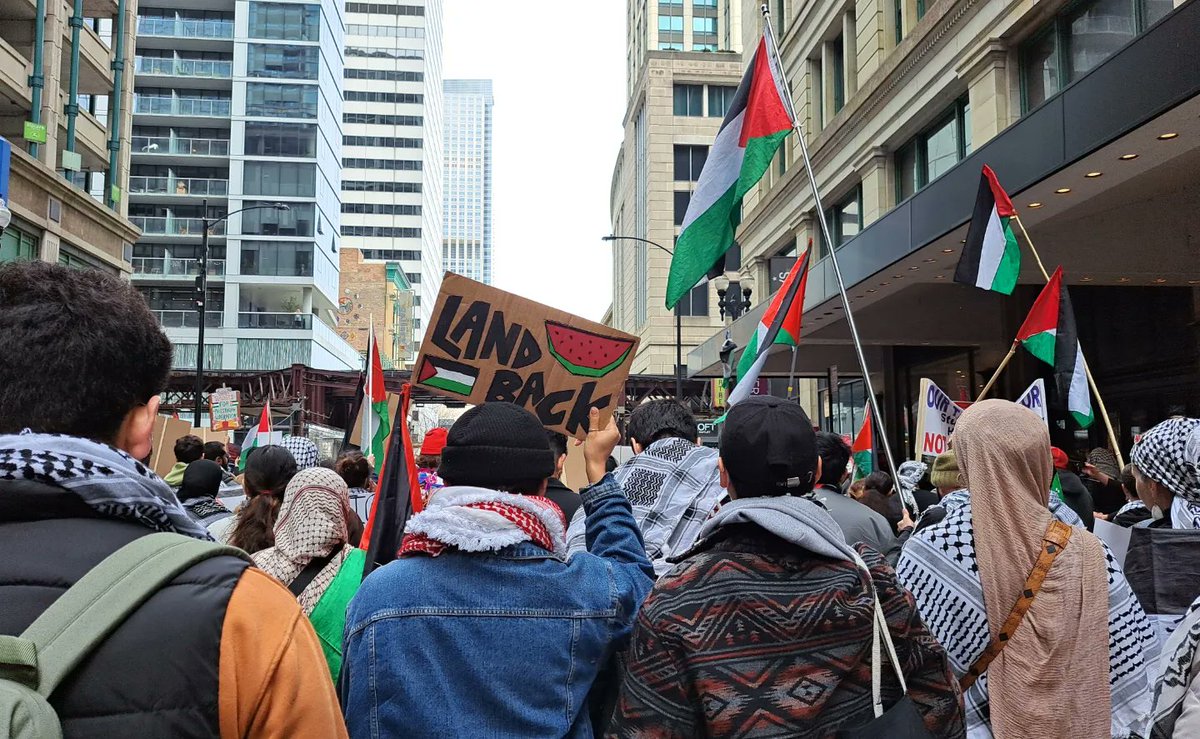 The Chicago Alliance tweet media