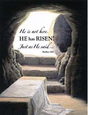 Alexis (Lloyd) Hansen tweet media