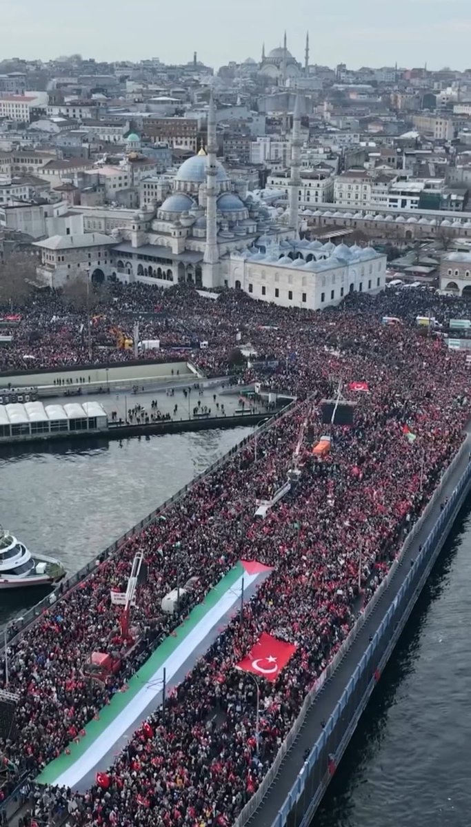 Wow.

Absolutely MASSIVE pro-Palestine protest in Istanbul.

The people of Turkey stand with Gaza 🇹🇷 🇵🇸