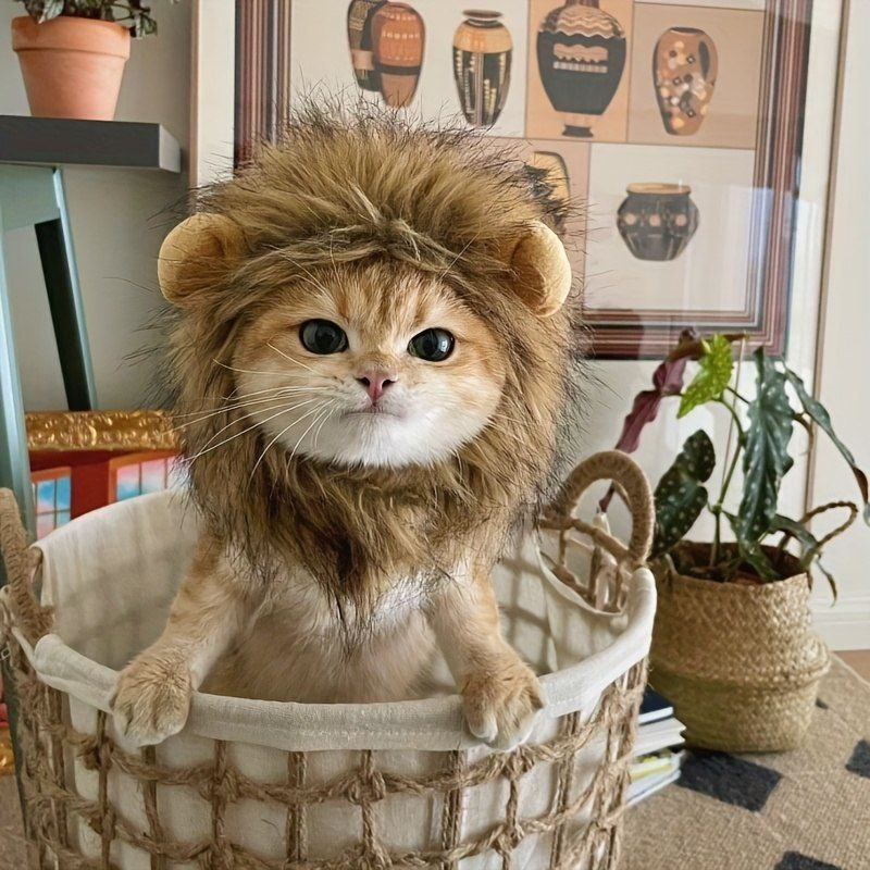 LedgerApes's tweet photo. @Poe_Ether $LION  on Solana @LionCatSOL https://t.co/rHQjgB9K9J
