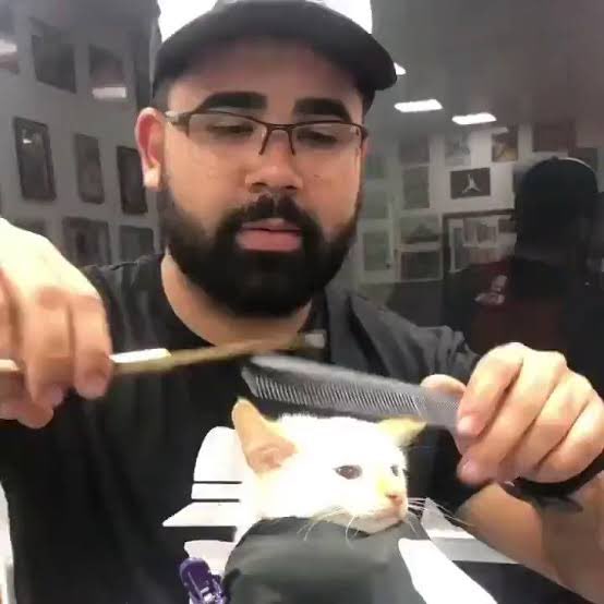 The Wolf Of Crypto Streets tweet media