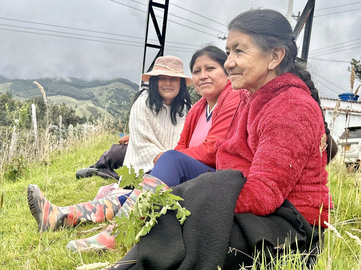 MisionONUCol's tweet photo. 🟣 #Nariño l Aunque no ha sido un camino fácil, mujeres firmantes de paz y personas de la comunidad de Miraflores, en Cumbal, le siguen apostando a la asociatividad y al trabajo comunitario como el camino para la consolidación de la paz en los territorios de este departamento. 🧵 https://t.co/B4I2NF9fTX