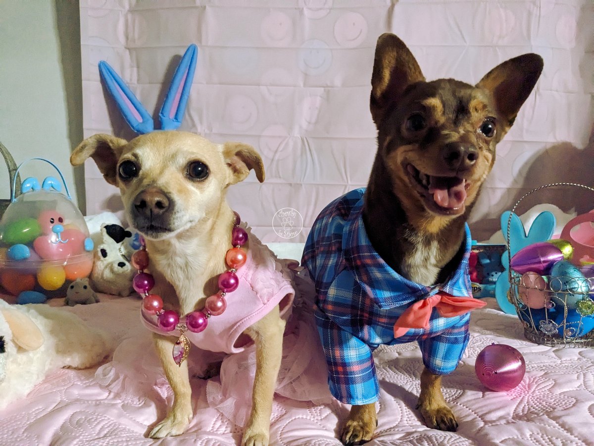 ❤️🏍️Chewby & Snow White🛵❤️ tweet media