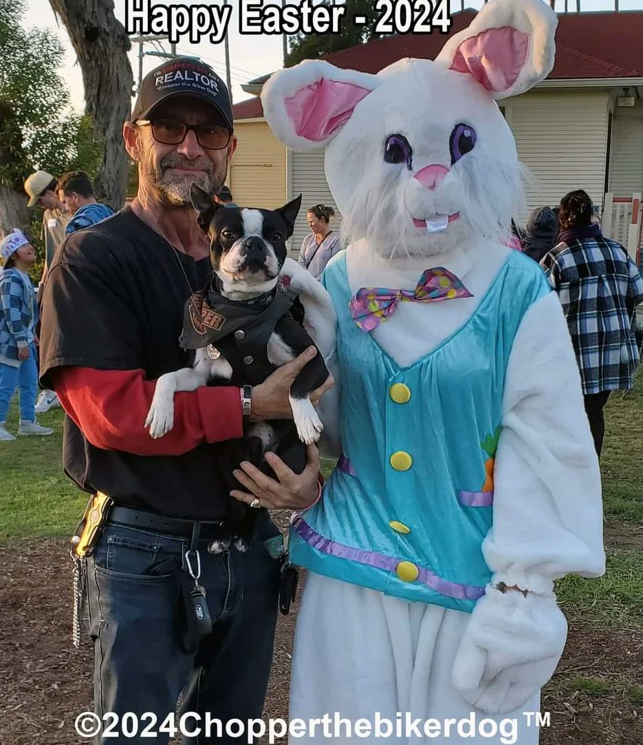HAPPY EASTER!  

Little Chopper the Biker Dog Jr's first Easter, photographed here with the #EasterBunny 2024 

Have a blessed day ❤🙏❤

#Easter #BostonTerrier #Chopper #BikerDog #ChopperJr