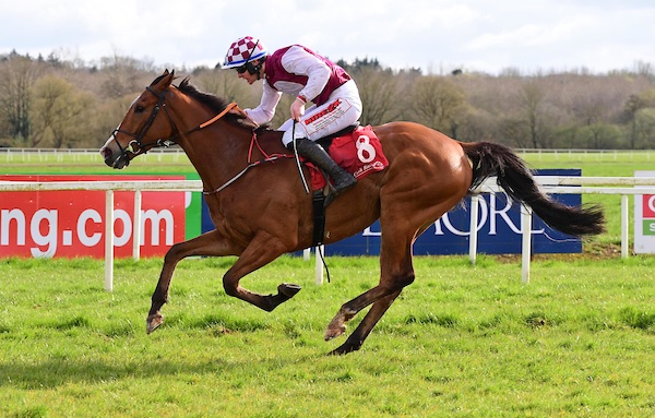corkracecourse's tweet photo. Our final race on day two of the Racing Home For Easter Festival goes the way of Nowwhatdoyouthink and Joey Dunne for Owner/Trainer Ray Hackett. Congratulations to all connections 🏆

Thanks to sponsors Woodlands House Hotel @WoodlandsHouse ❤️ https://t.co/Quvblzro2C