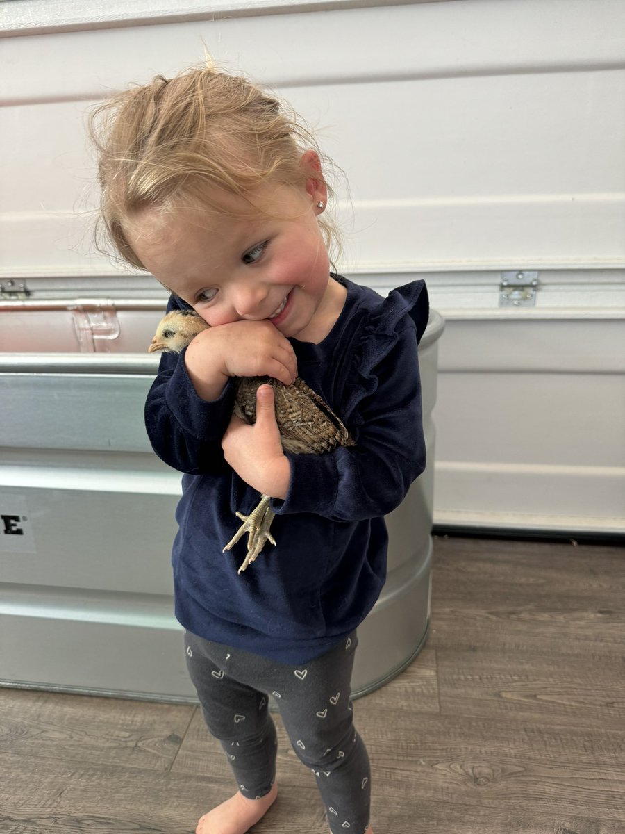 Happy Easter, from snowy Arizona!