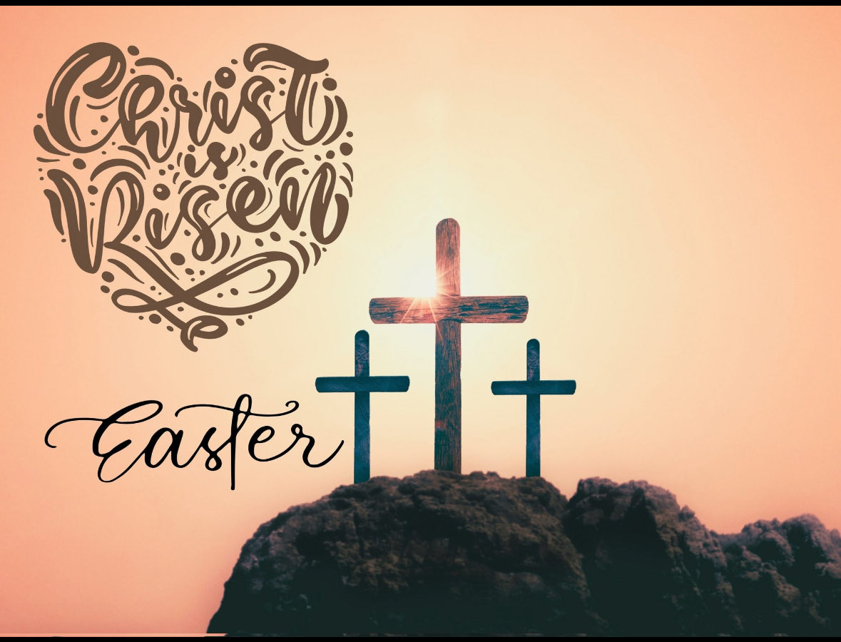 Holy Cross School tweet media