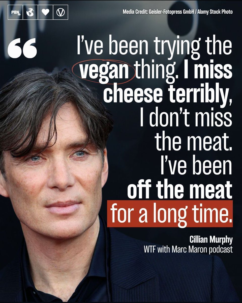 Irish actor Cillian Murphy, the winner of the Academy Award for Best Actor at the 2024 Oscars for his starring role in the blockbuster Oppenheimer, has opened up about adopting a plant-based diet. Read more here - plantbasednews.org/news/celebriti…