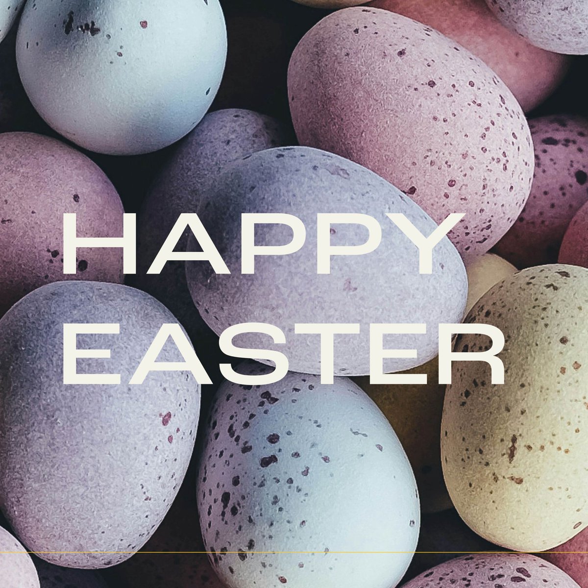 Today, we celebrate the promise of hope. Let's cherish the love of family and friends. May this Easter fill your heart with joy and your home with peace. Wishing you a day filled with colorful eggs, sweet treats, and beautiful moments. Have a wonderful Easter Sunday! #HappyEaster
