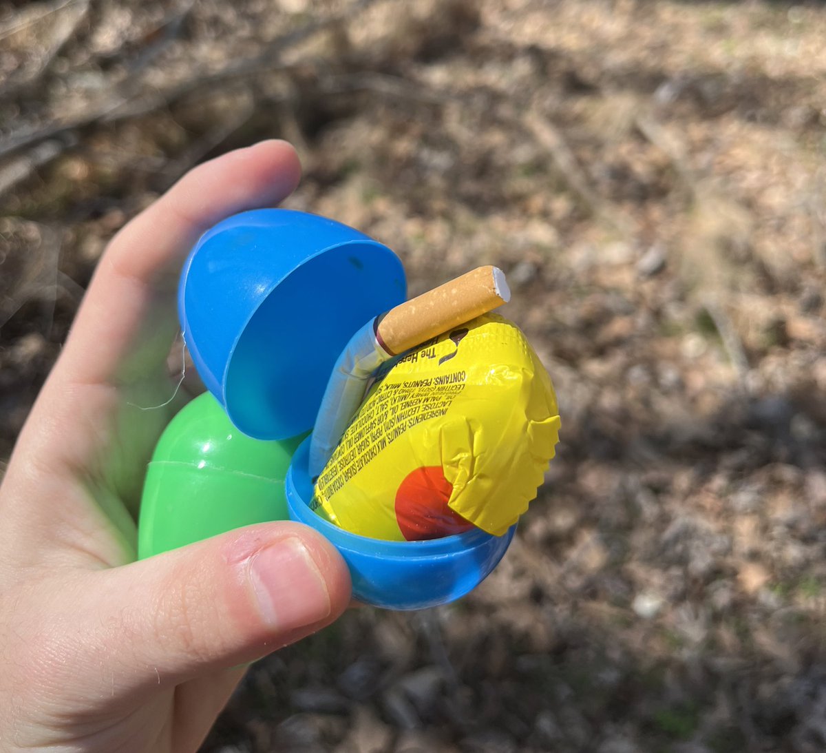 yacobg42's tweet photo. Easter egg hunts are limited to children only because of a lack of imagination https://t.co/QqwLYK2a6G