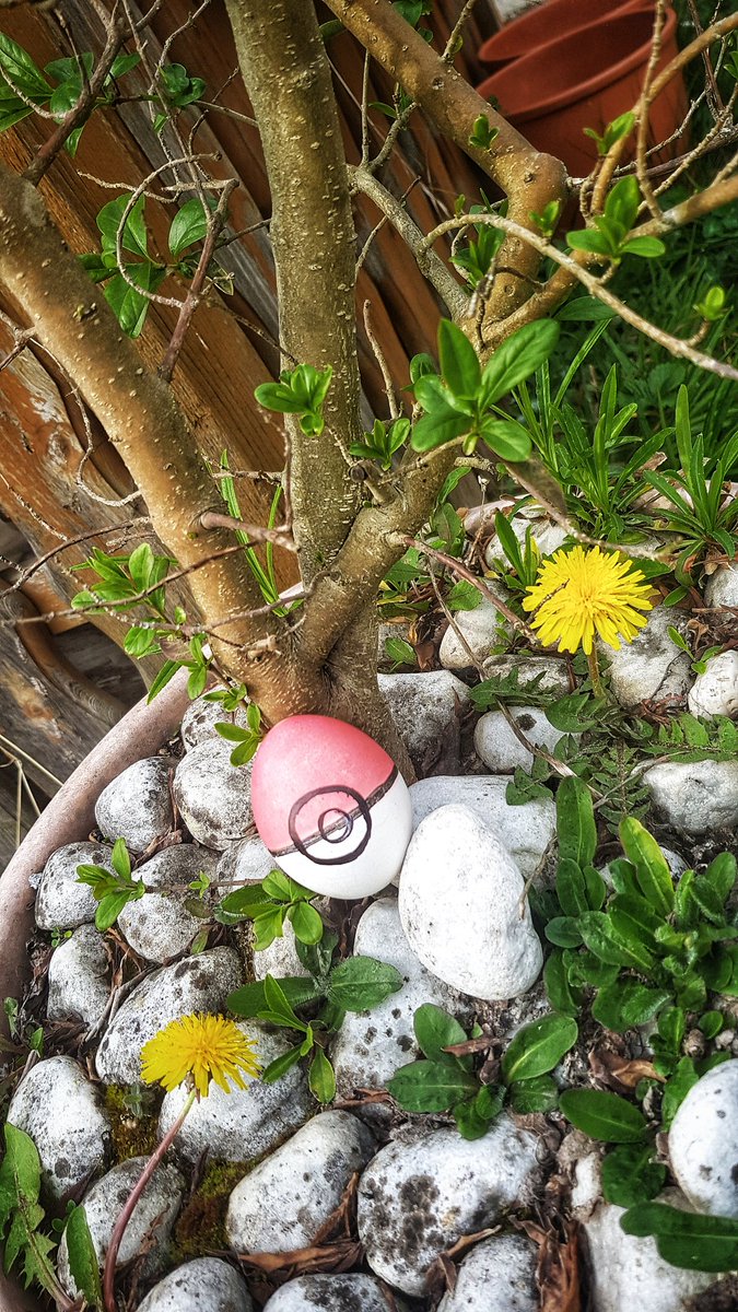 Cookie2909's tweet photo. #HappyEaster 🐰🥚 https://t.co/2SywafYD32