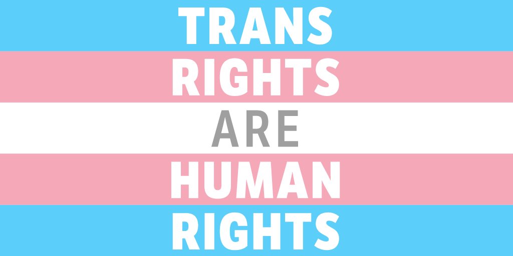 #TransDayOfVisibility #TransAlly 🏳️‍⚧️ 🌸 🦋 🤍