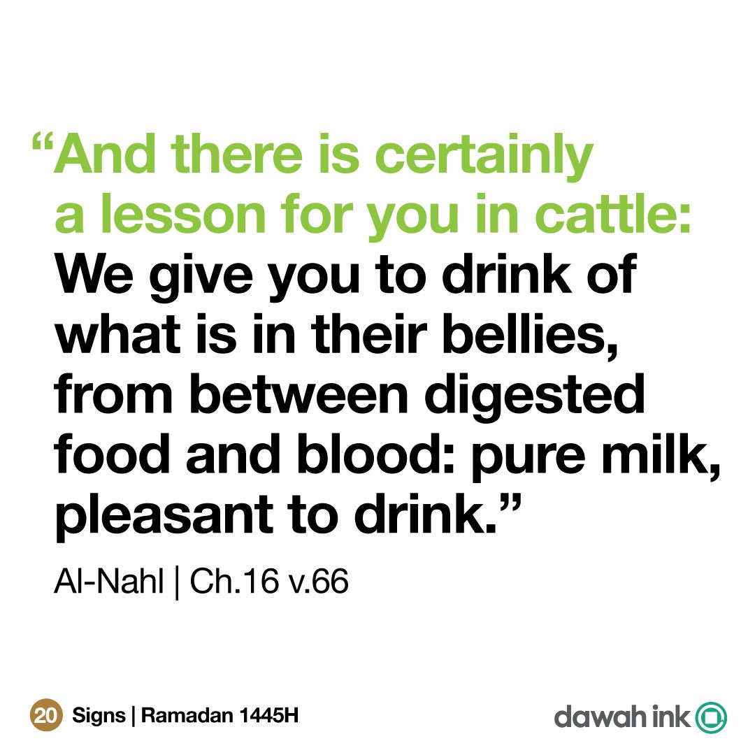 DawahInk's tweet photo. Signs 
Ramadan 1445H | 2024 - Day 21

And there is certainly a lesson for you in cattle: We give you to drink of what is in their bellies, from between digested food and blood: pure milk, pleasant to drink. Al-Nahl | Ch.16 v.66 https://t.co/BNr2WACnqP