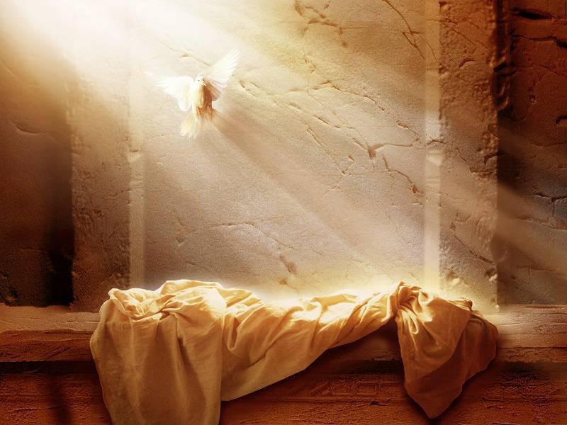 AlexBodoga's tweet photo. O sepulcro está vazio porque CRISTOU RESSUSCITOU ALELUIA.❤️🔥 https://t.co/knnqBnYRMX