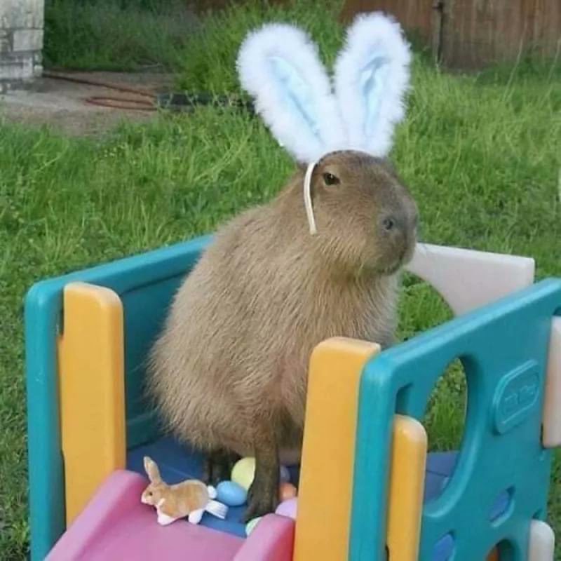 Cappy Easter $CBAR 
#Zilliqa