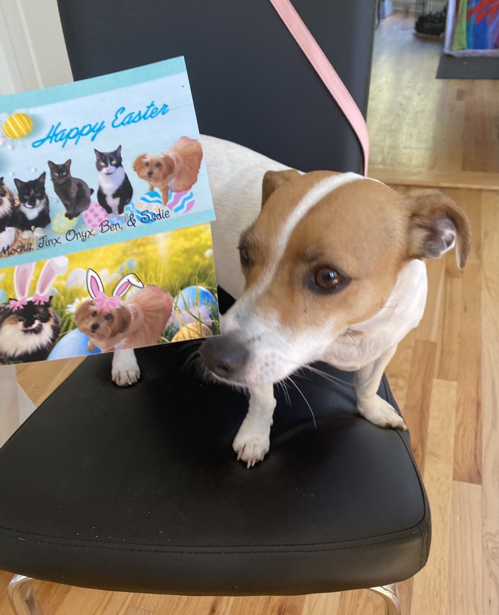 BelleLBear's tweet image. #EasterCard #EasterSunday #Dogs #dogsoftwitter #zshq #dogsofX #BabyBea 🐣🐰
Look at these pictures in our Easter card from sweet frens Sadie &amp;amp; Mocha, Jinx, Onyx &amp;amp; Ben @Gorillababe !! Thank you &amp;amp; we love you! ⛪️✝️🌼