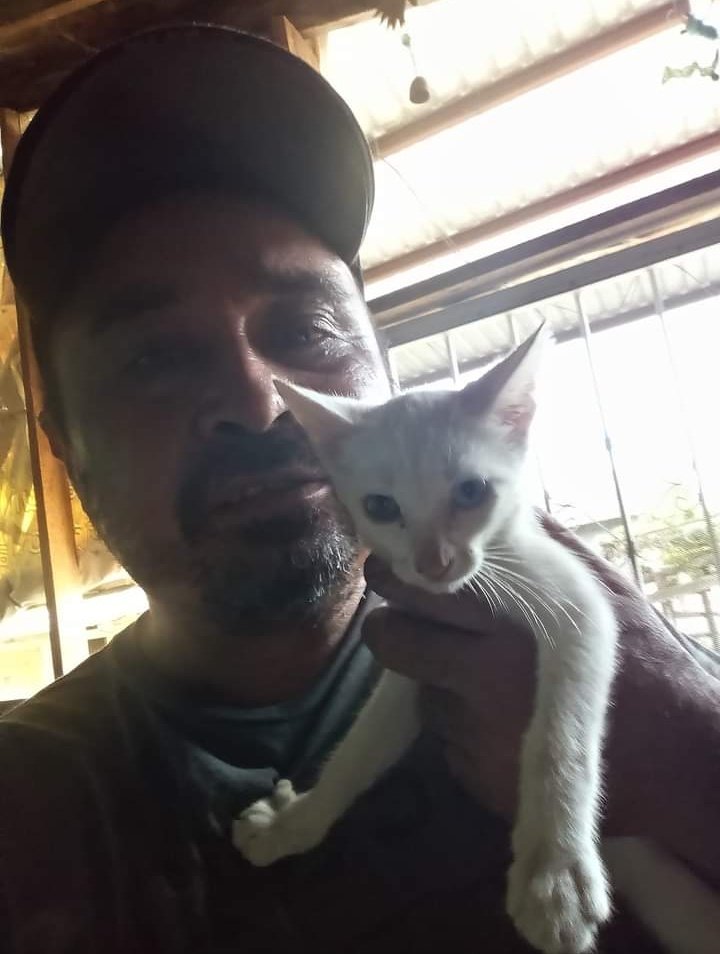 JorgeJaime_1's tweet photo. Con gatitos también tengo muchas historias rescatado recién nacido dentro de una caja como con los perritos se lucha por ellos cuando son recién nacidos día y noche con muchas desveladas gustas apoyarme 🐕 ve a mi perfil 🙏un pesito pude salvar una vida 🐕🐈 https://t.co/bA9v57bHSB