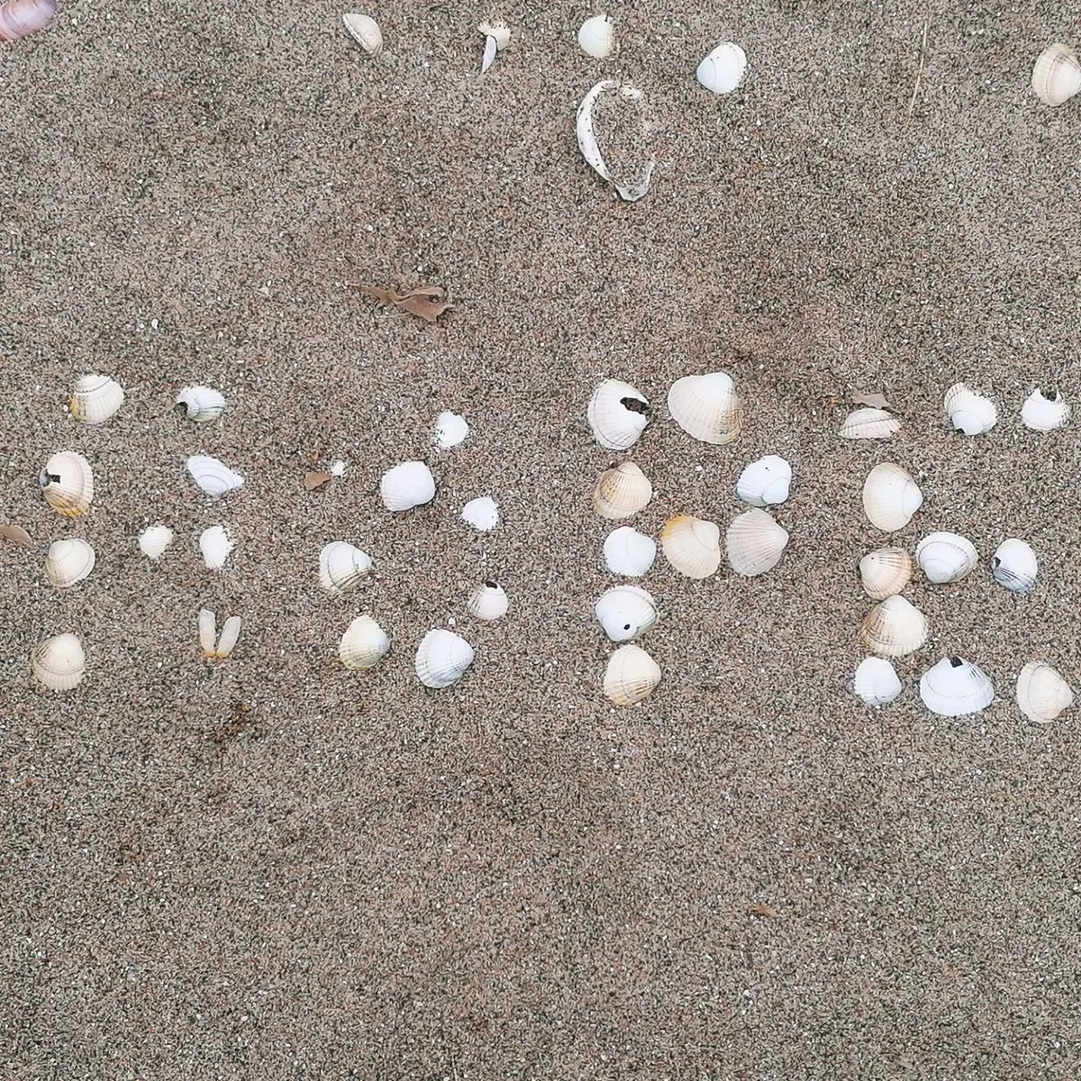 Today's random act of kindness was a litter pick on our favourite beach for the last day of #greatbritishspringclean 🦋 Pleased to report there really wasn't that much to pick up 👍 Look at the message we found in the sand ❤️❤️❤️ #evelynsbutterflyeffect #hope #litterpick