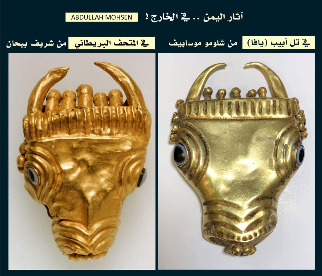 Abdullah Mohsen عبدالله محسن tweet media