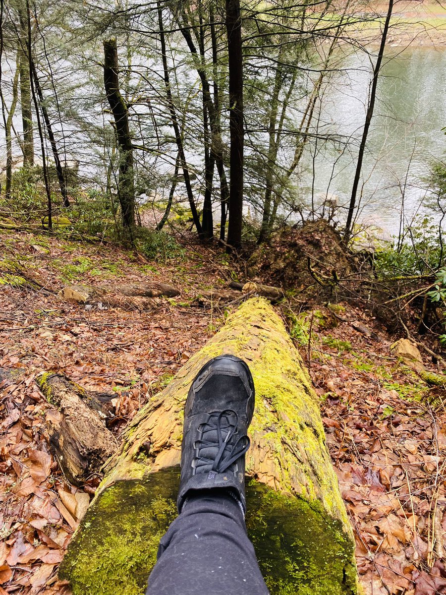 TonyMel13027869's tweet image. Morning walk by the river and up the Seneca trail a bit. #CookForest