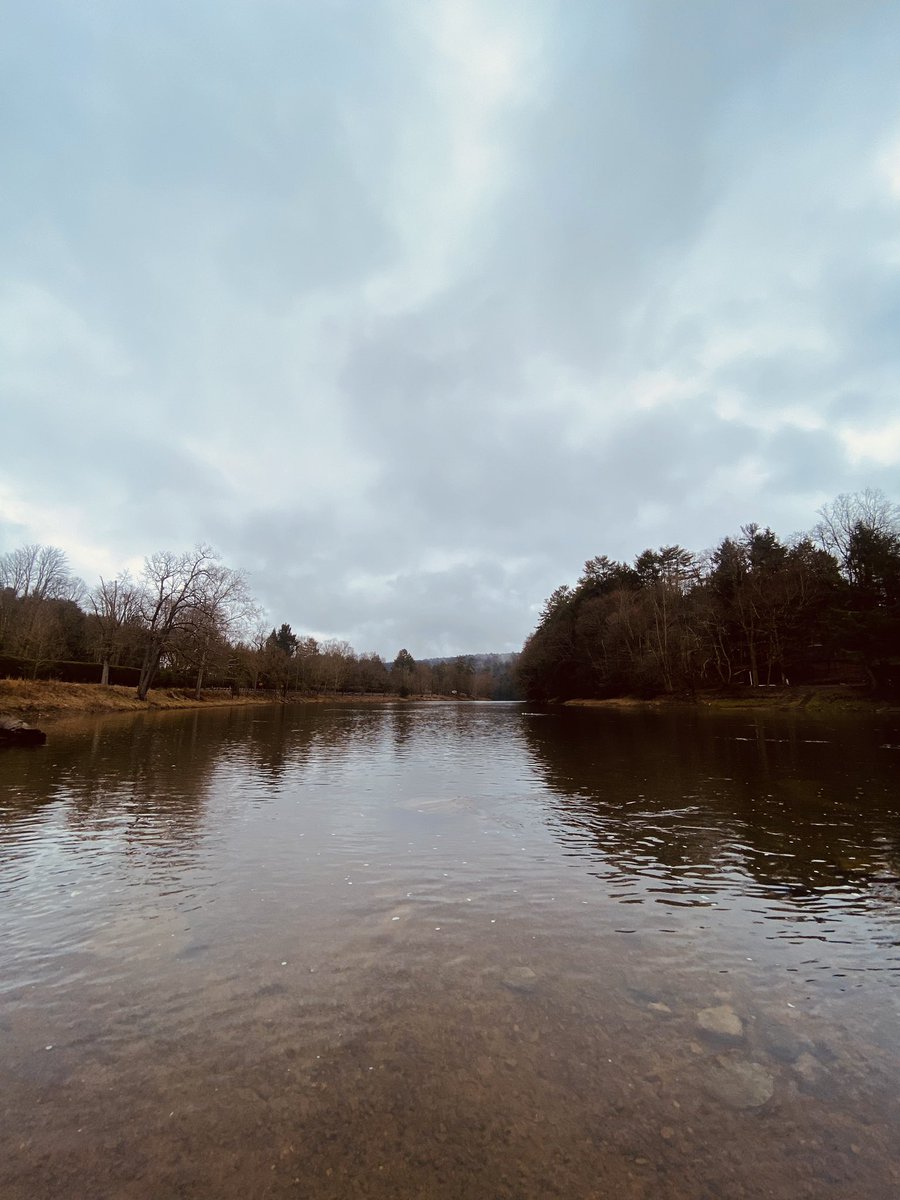 TonyMel13027869's tweet image. Morning walk by the river and up the Seneca trail a bit. #CookForest