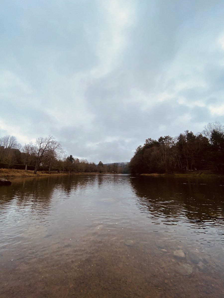 Morning walk by the river and up the Seneca trail a bit. #CookForest