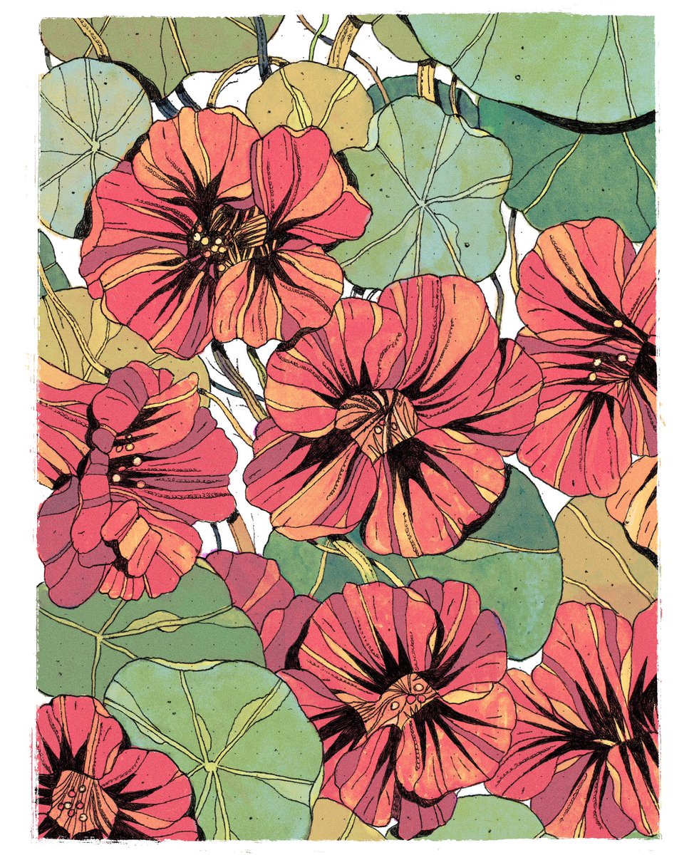 Taylor Price tweet media