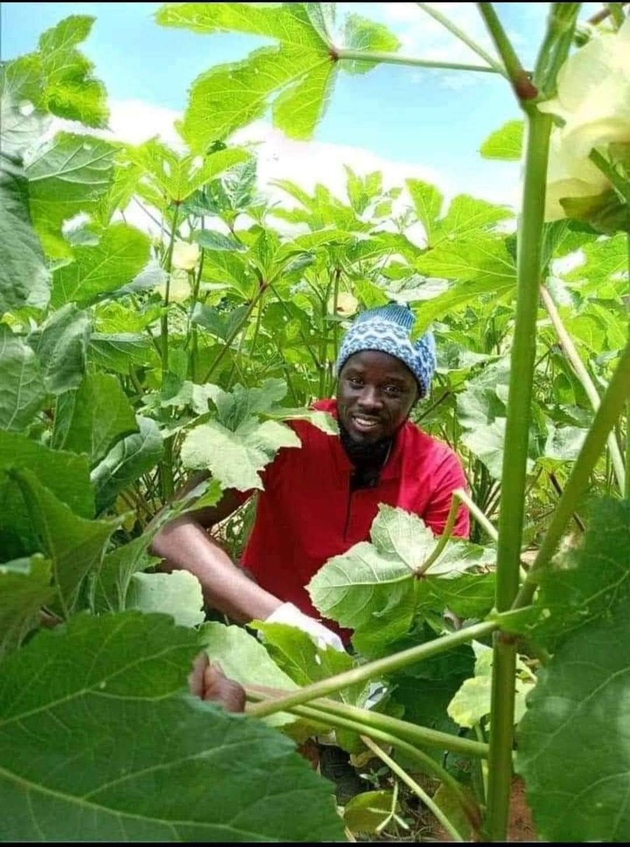 𝔇𝔞𝔪𝔢 𝔑𝔡𝔦𝔞𝔶𝔢 🇸🇳💦 tweet media