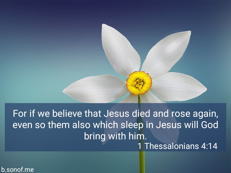 SueLake17's tweet photo. ..shared via Bible KJV https://t.co/FzC4VC2Tfo https://t.co/rtUmMXLRJ3