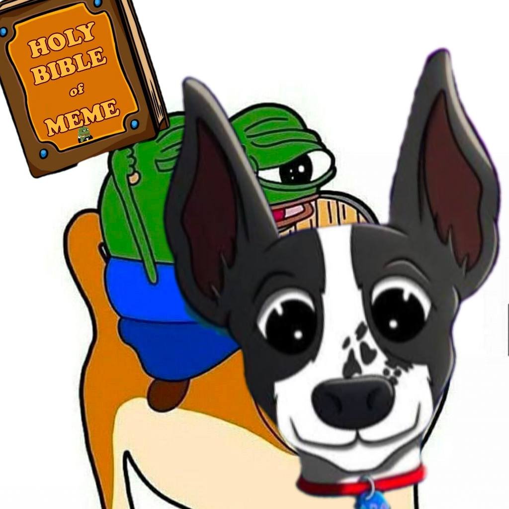 We found <a href="/ADAonSOL/">ADA | Solana Founders Dog</a> this puppy's communities sharing great vibes, thinking of airdropping $BIBO to shower him, what do you think, BROtHERS and SIStERS?🤔

If the Likes on this tweet exceed 1k, lets do it!