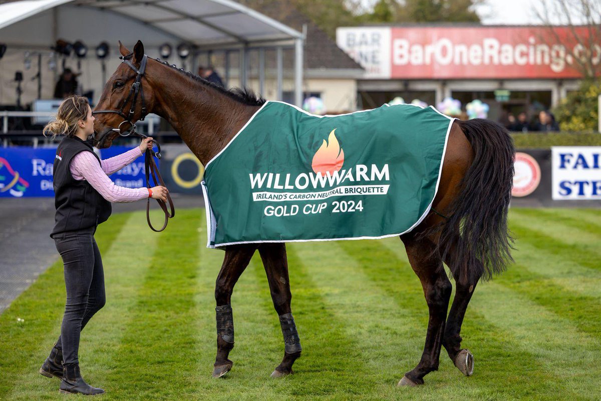 WillowWarm 🇮🇪 tweet media