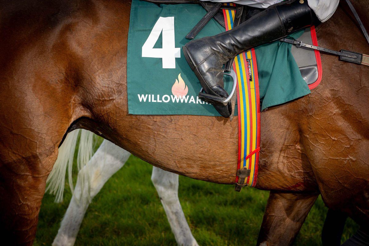 WillowWarm 🇮🇪 tweet media